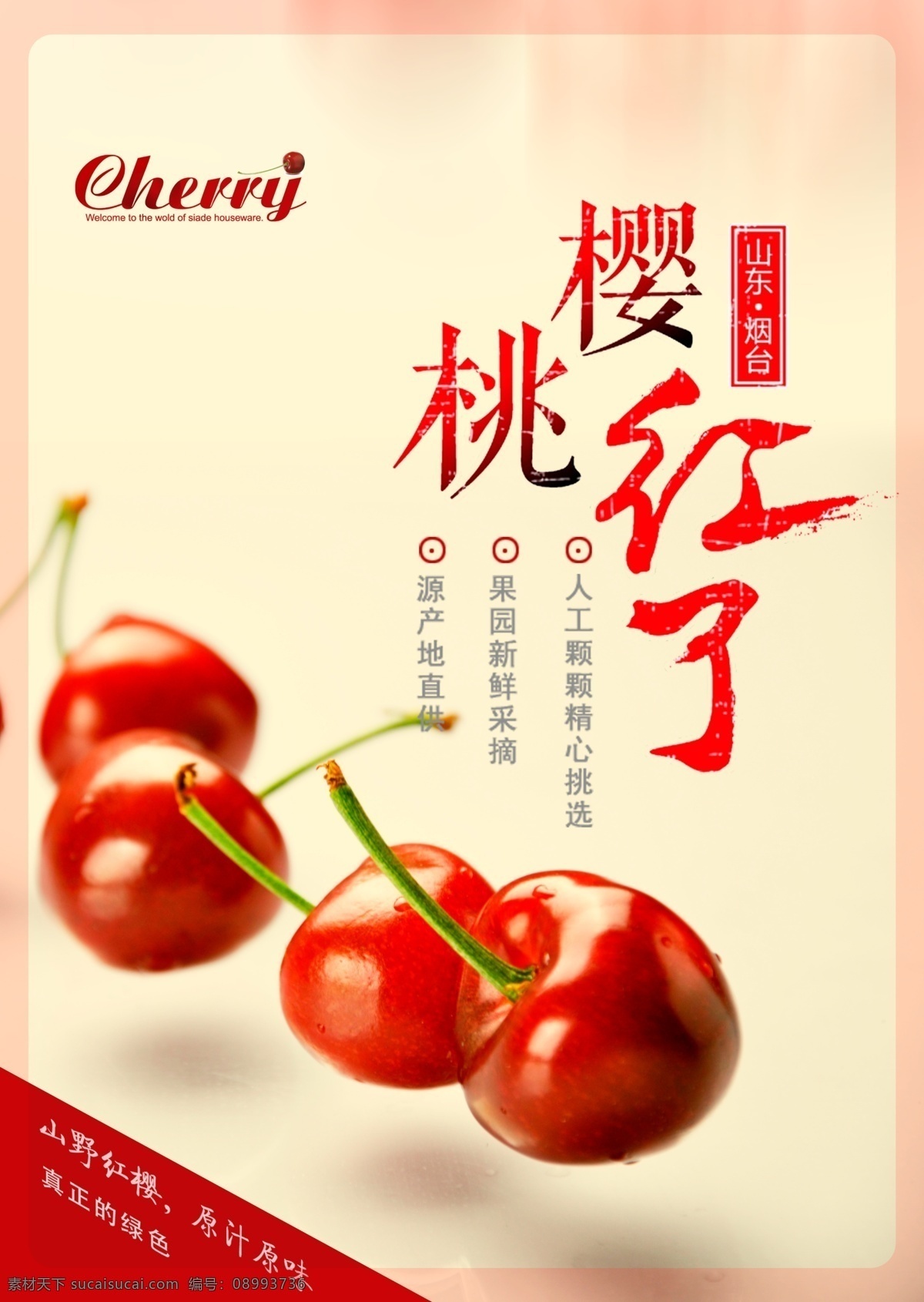 樱桃红了 水果樱桃 樱桃促销 樱桃树 樱桃美食