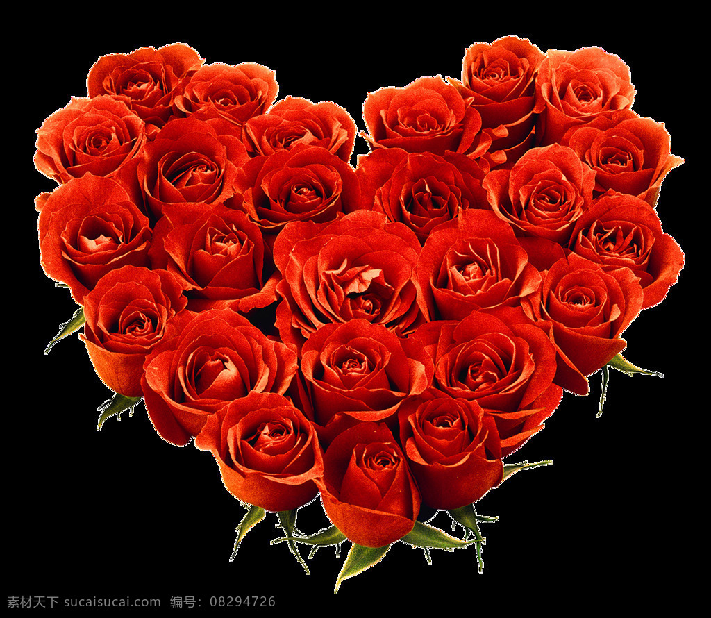 红玫瑰图片 玫瑰 红玫瑰 植物 绿植 花卉 鲜花 花朵 花 红花 月季 玫瑰花 花瓣 玫瑰花瓣 动植物 生物世界 花草 照片