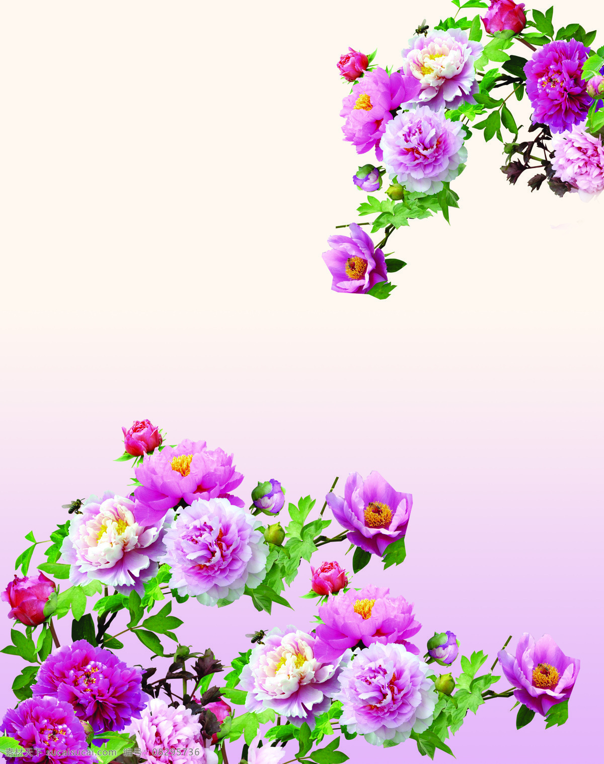牡丹花 花纹背景 花纹 背景 背景图 花 装饰画 电视背景墙 背景墙 底纹边框 花边花纹