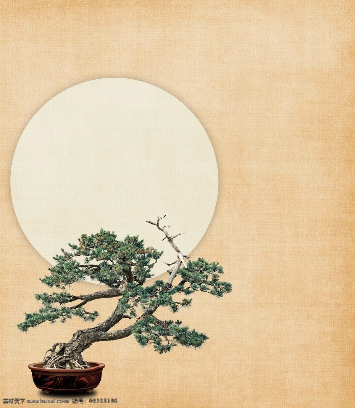 中国风工笔画 松 中国风 工笔画 国画 ps 后期 分层