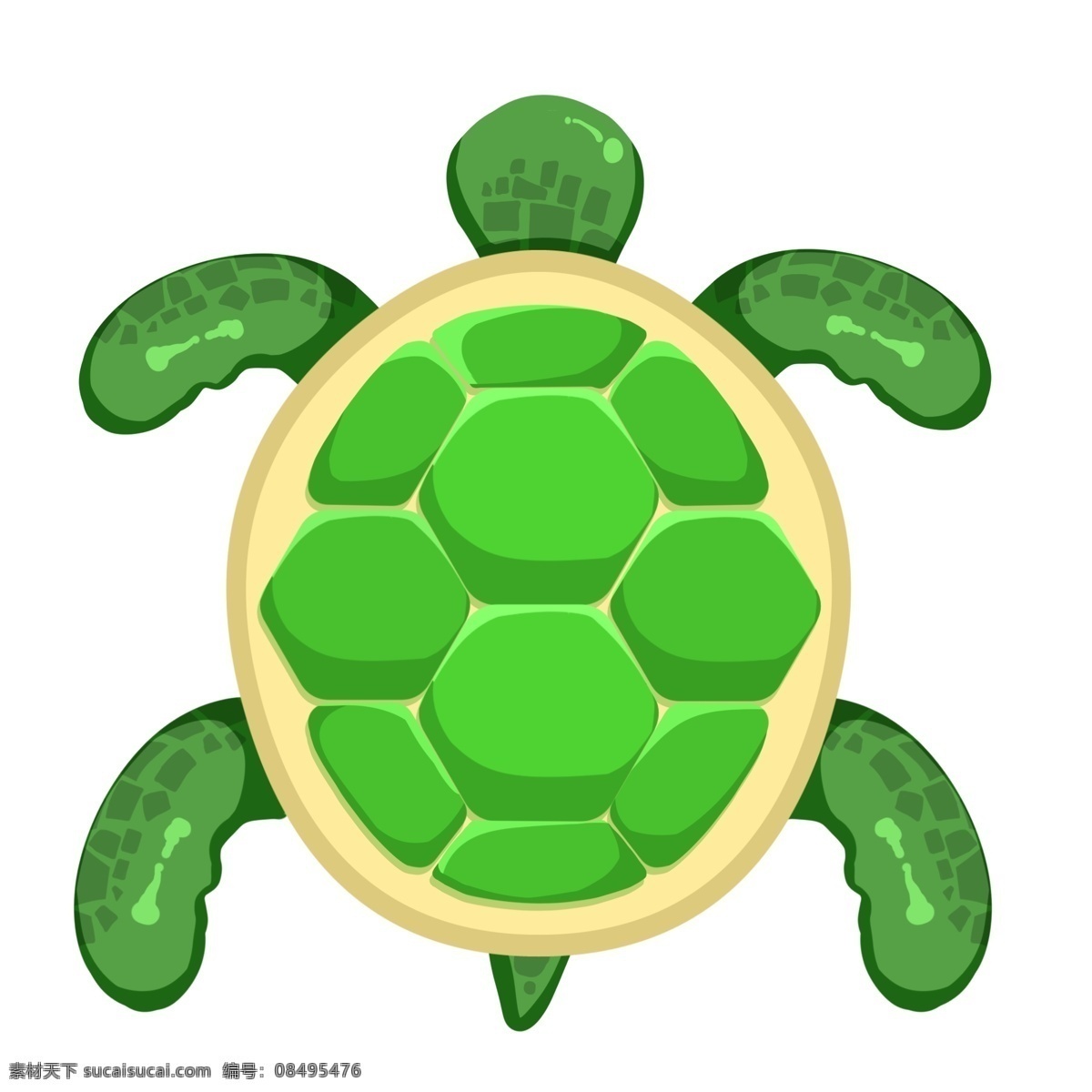 绿色海洋生物 生物 海洋 绿色