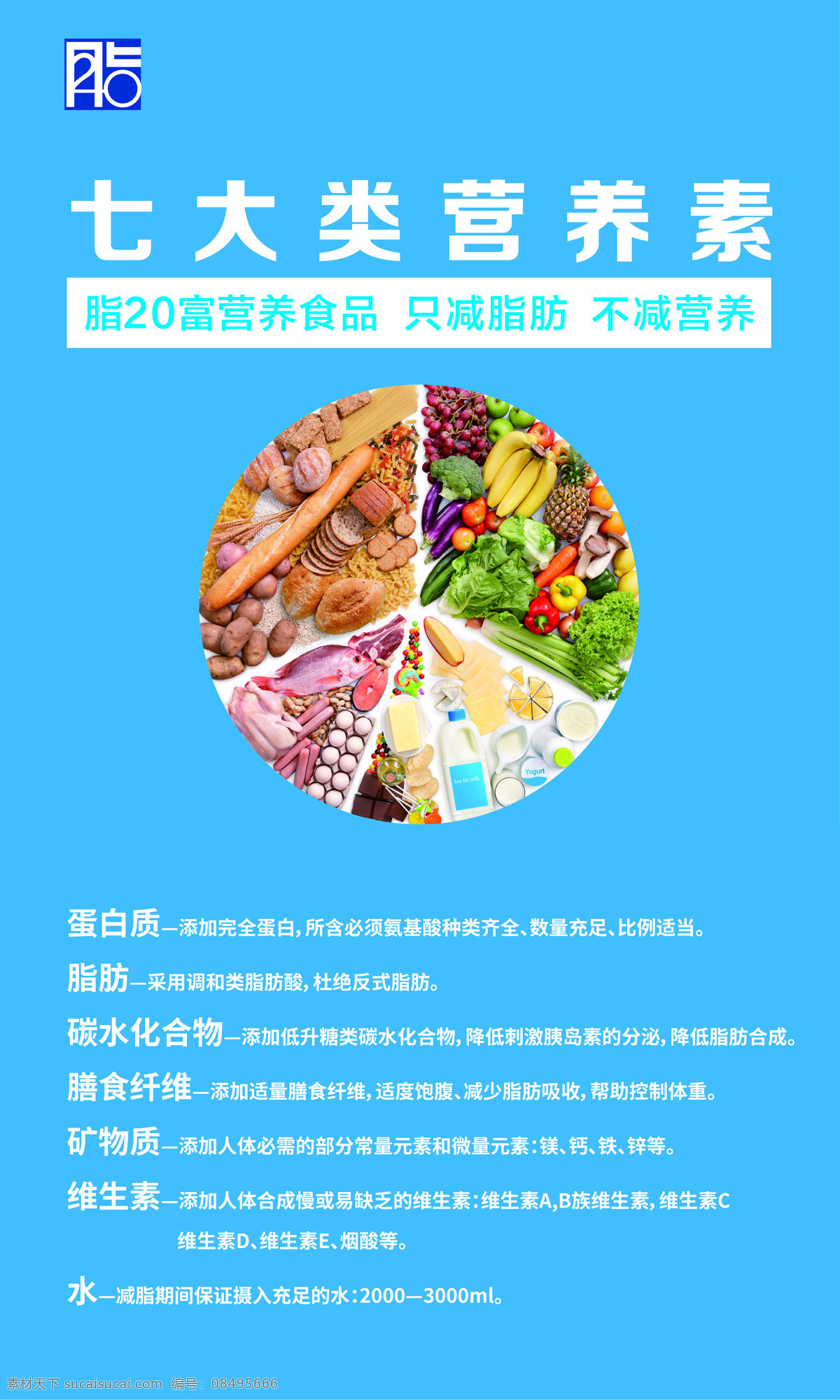 脂20 七大类 蓝色 营养 减肥