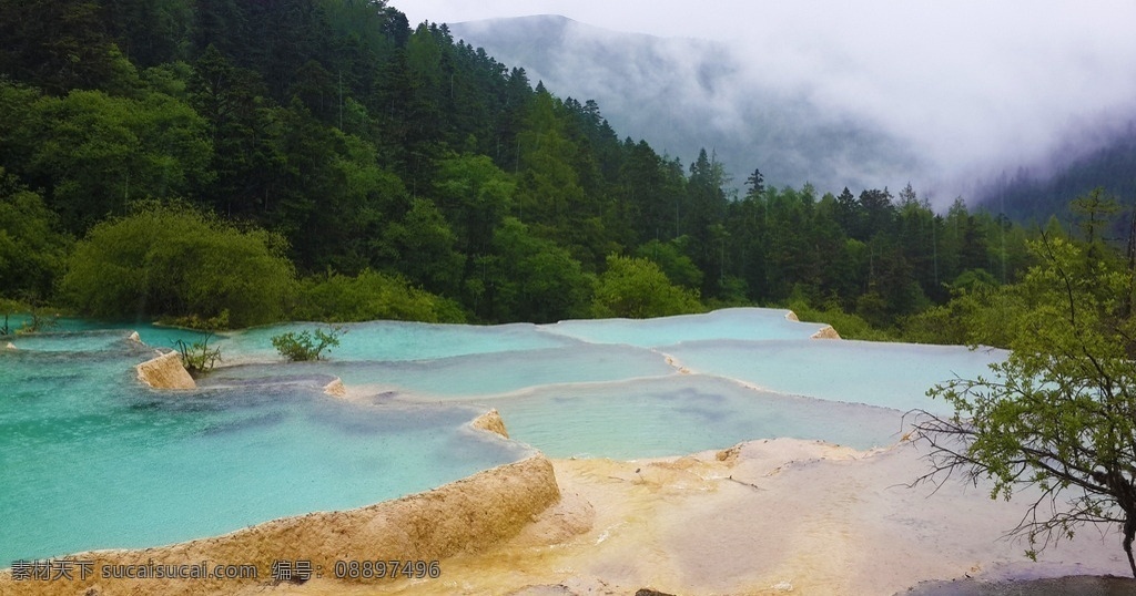 风景 美景 旅游 山水 树林 黄龙 自然景观 风景名胜