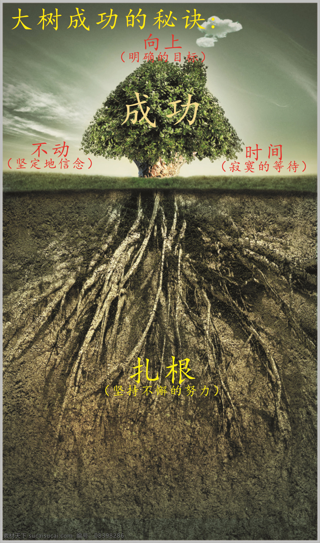 大树理论 大树 理论 成功秘诀 人生道理 成长 灰色