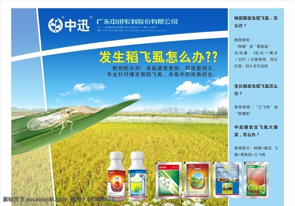 农药 广告 飞虱 单页 宣传单 稻飞虱 农田 稻谷 天空 白云