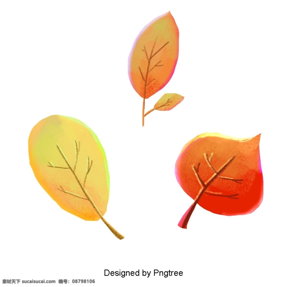 美丽 卡通 可爱 手绘 创意 秋叶 绘画 秋天 树叶 渐变 亮色
