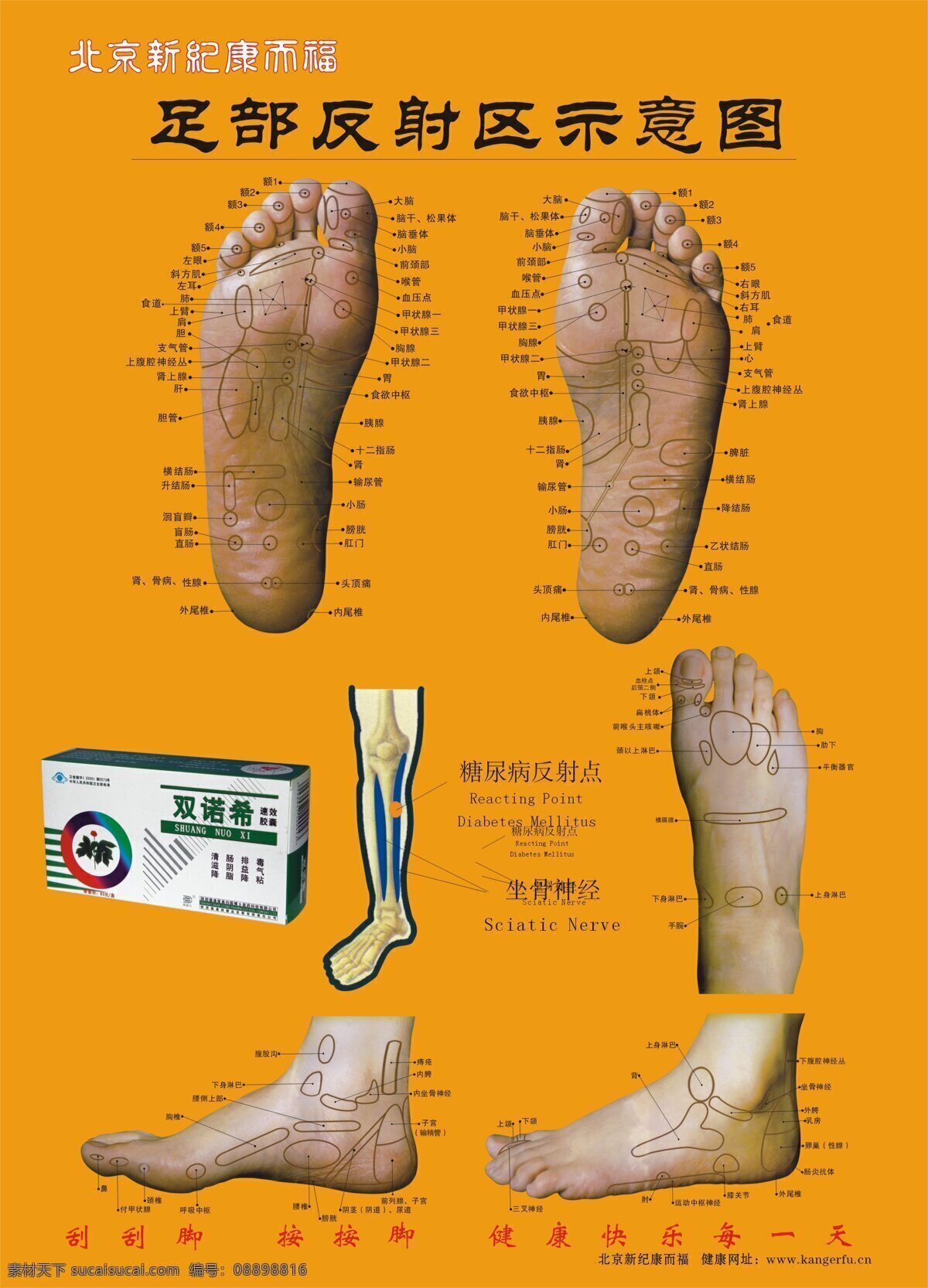足疗 穴位图 设计图库
