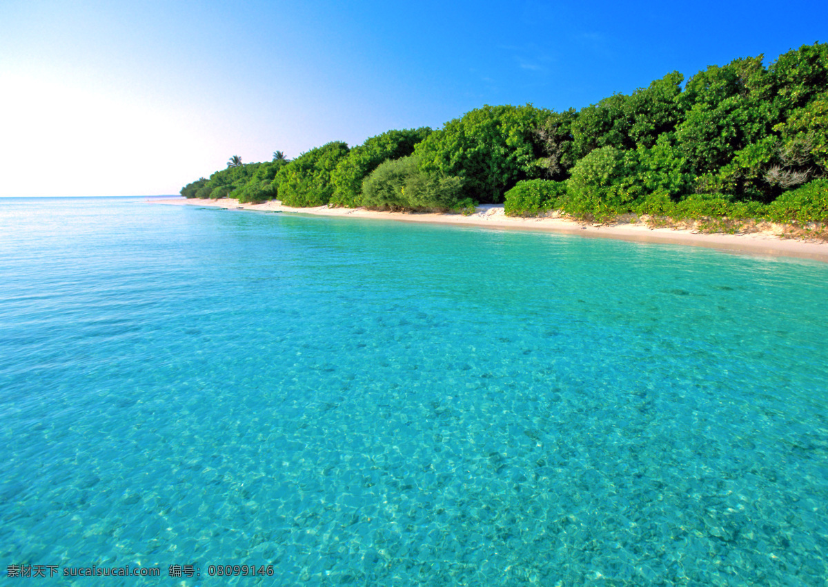 马尔代夫 沙滩 海景 海洋 大海 旅游 蓝天 白云 海岛 森林 树林 清澈 旅行 休闲 海边 海滩 椰子树 仙境 天堂 梦幻 唯美 美景 风光 风景 景观 泰国 加勒比海 夏日 热带 晴朗 壁纸 国外旅游摄影 国外旅游 旅游摄影