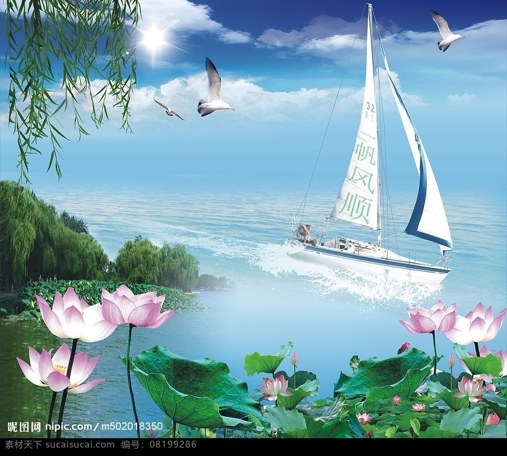 一帆风顺 风景 帆 海 荷花 设计图库 矢量图库