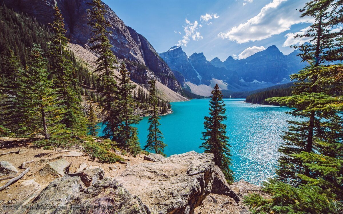 新疆自然风光 自然风光 山水 西湖 森林 蓝天 自然景观 自然风景
