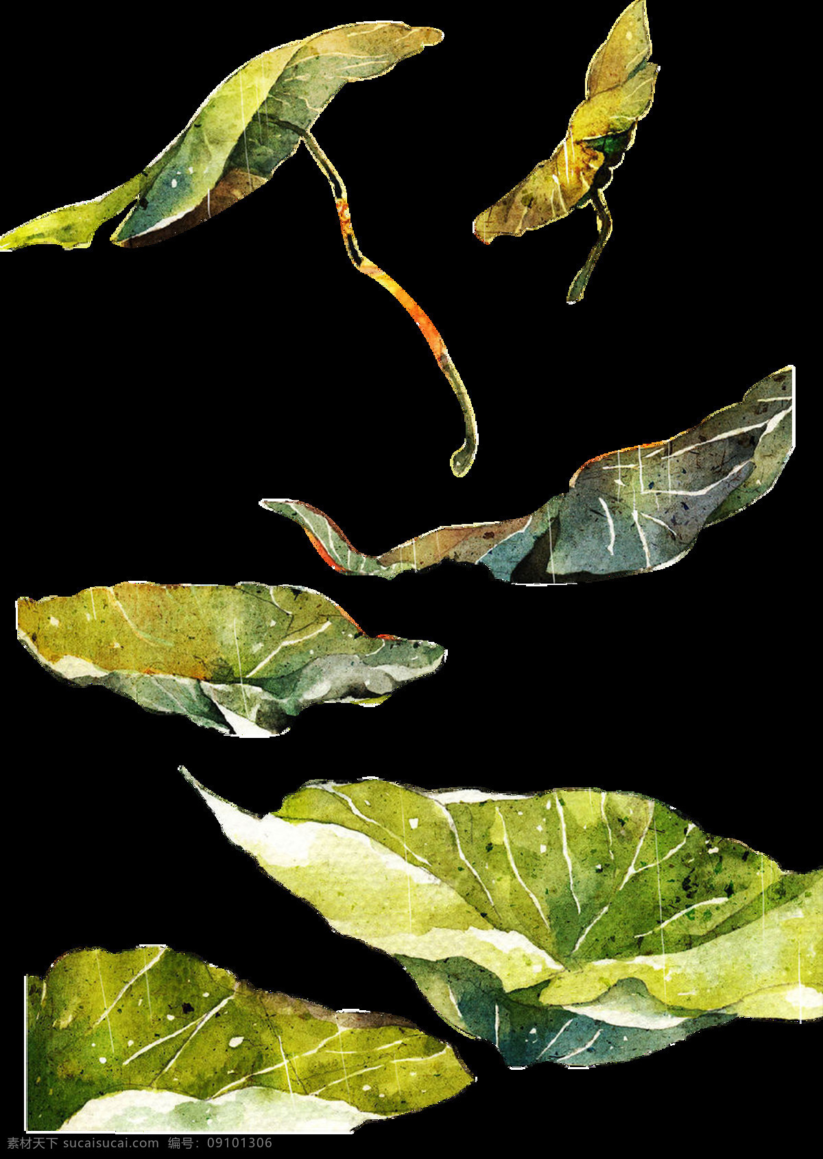 手绘 一片片 荷叶 透明 黄色 绿色 免扣素材 透明素材 叶片 植物 装饰图片