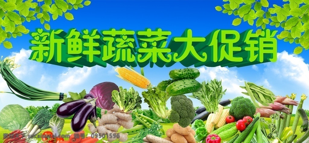 蔬菜展板 蔬菜 蔬菜海报 蔬菜文化 蔬菜图片 蔬菜素材 蔬菜挂画 蔬菜饮食 蔬菜营养 蔬菜超市 蔬菜市场 蔬菜广告 新鲜蔬菜 绿色蔬菜 蔬菜食堂 蔬菜饭店 蔬菜模板 蔬菜扁豆 蔬菜蚕豆 蔬菜大蒜 蔬菜胡萝卜 蔬菜黄瓜 蔬菜韭菜 蔬菜毛豆 蔬菜莴笋 蔬菜番茄 蔬菜土豆 蔬菜茄子 蔬菜豆角 展板素材 分层