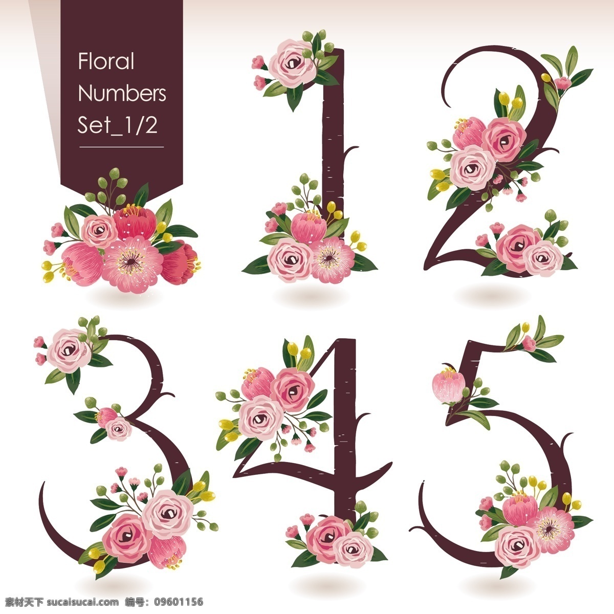 花卉数字 字 数字设计 字体 字体设计 平面设计 卡通 颜色 配色 色彩 花 花卉 矢量花卉 矢量牡丹 矢量花朵 矢量花