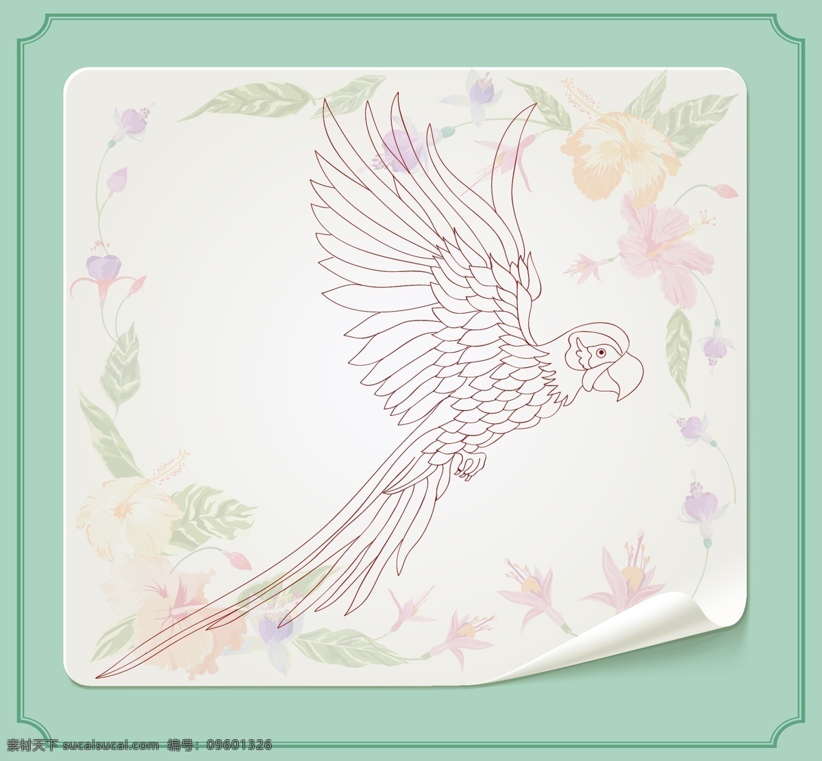 手绘 清新 鹦鹉 插画 手绘鹦鹉 鸟 手绘植物 手绘树叶 手绘花卉
