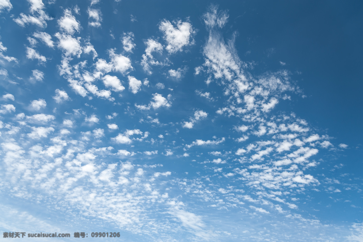 天空 中 云朵 风景 云层 蓝天白云 天空云彩 风景图片 自然景观 蓝色