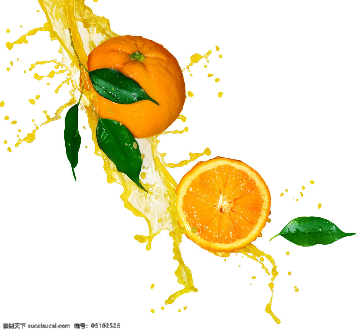 橙子图片素材 橙子 水果 清凉世界 果汁 鲜橙 健康水果 美味水果 照片 写真 生物世界 高清水果 蔬菜图片 餐饮美食