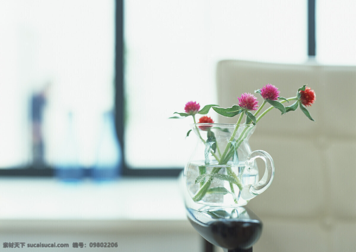 高清 家居 生活 盆景 朵 花 家居生活 摄影图 几朵花 生活百科 图片库 风景 旅游餐饮