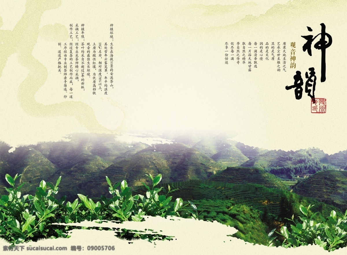茶园 茶 茶树 茶叶 广告设计模板 画册设计 铁观音 文化 形象 源文件 其他画册封面