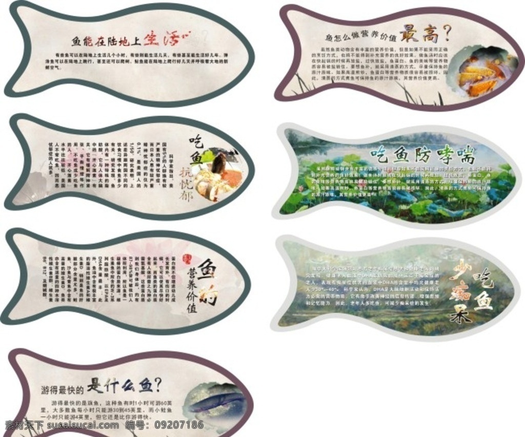 鱼文化 文化 水墨鱼 鱼素材 荷塘美景 鱼简介 水墨素材 展板素材 菜 水产鱼类 展板模板