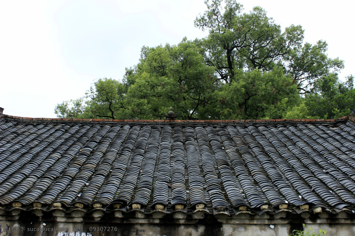 瓦 青瓦 青瓦素材 瓦片 瓦片素材 青瓦房 瓦房顶 屋顶 老房子 乡村建筑 自然景观 自然风景