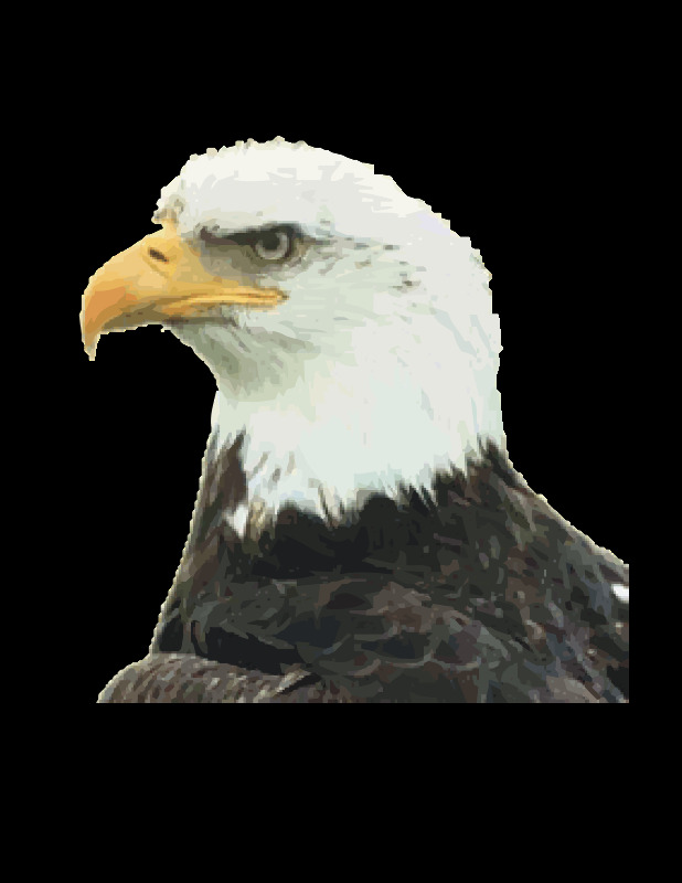 秃鹰 鹰 美国 秃头的 符号 照片 svg 黑色