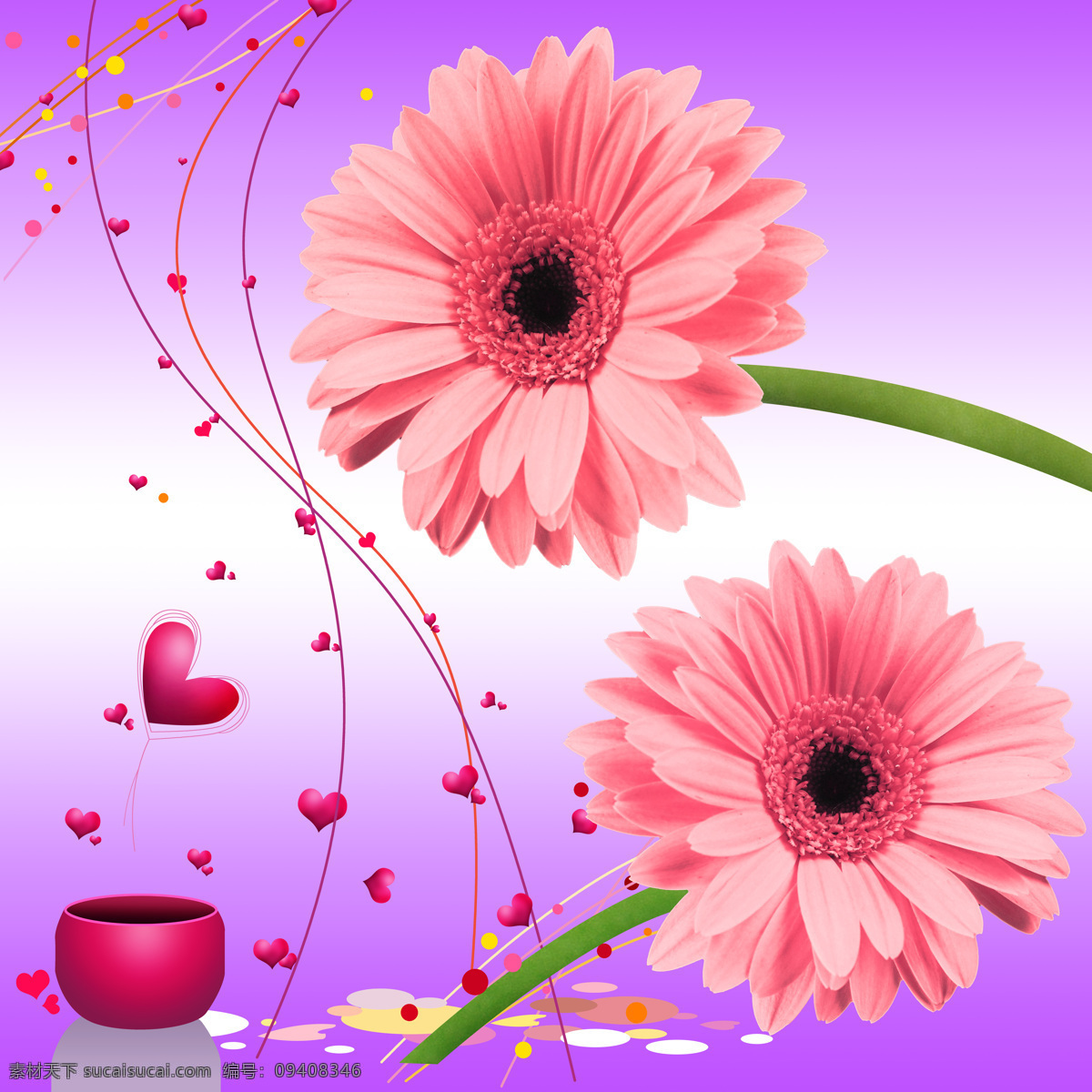 粉色 可爱 花朵 背景 墙 自然 风景 花卉 美丽 清新 免费素材下载 背景墙 背景图 装饰画 甜美 爱心 雏菊 紫色