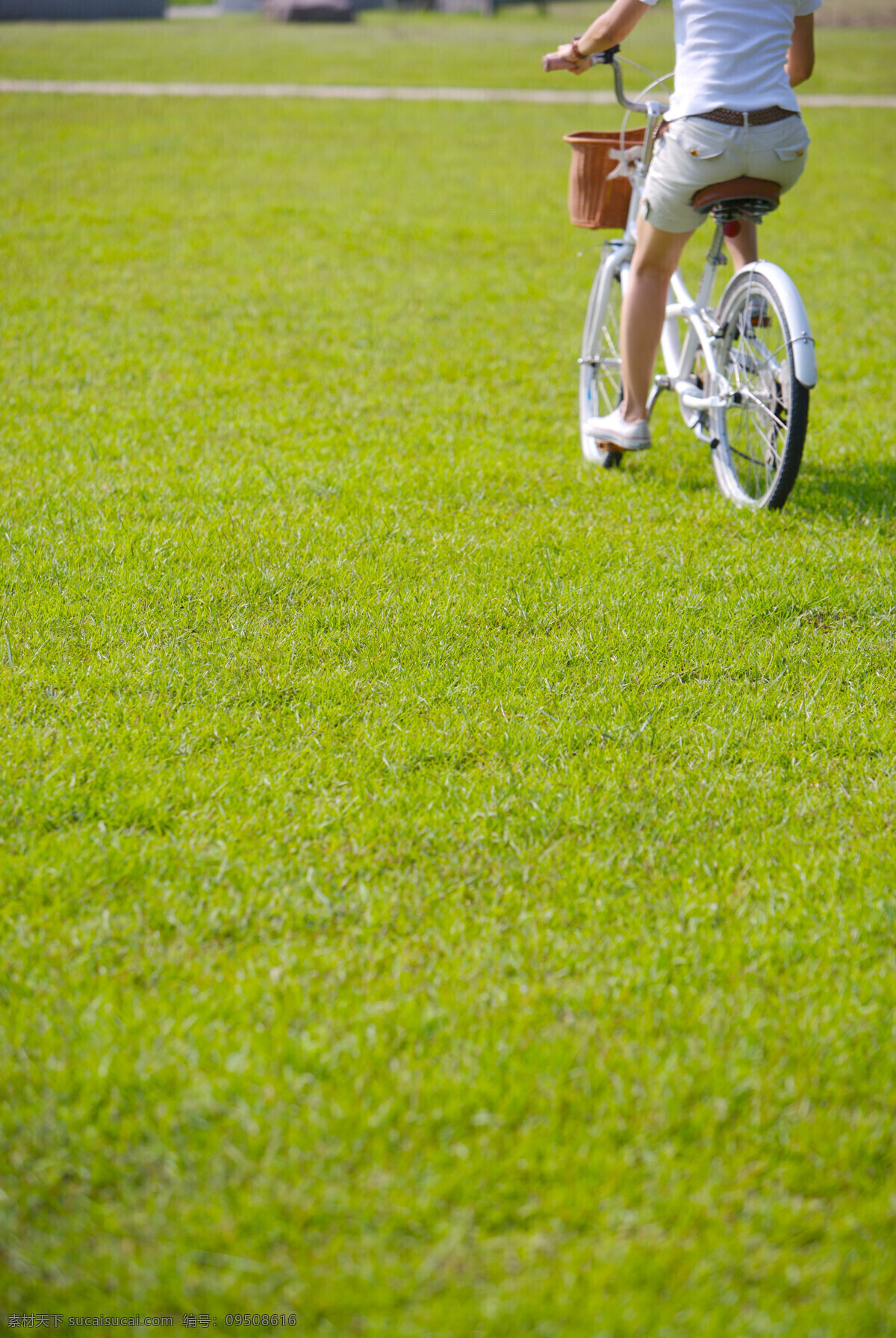 亲子 休闲 脚踏车 草坪 车道 风景 户外运动 赛车 自行车