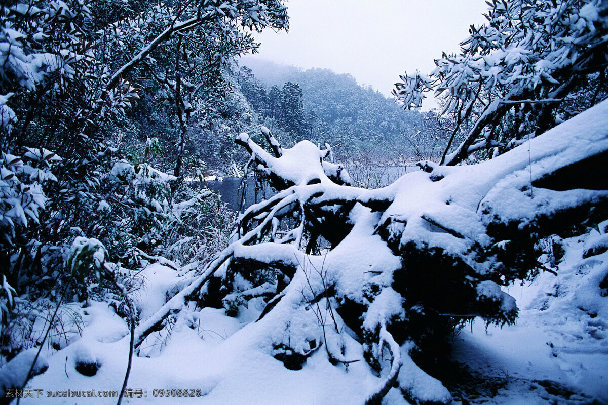 冬天 雪景 背景 冬天雪景 风光 风景 季节 摄影图库 自然 自然风景 自然景观 生活 旅游餐饮