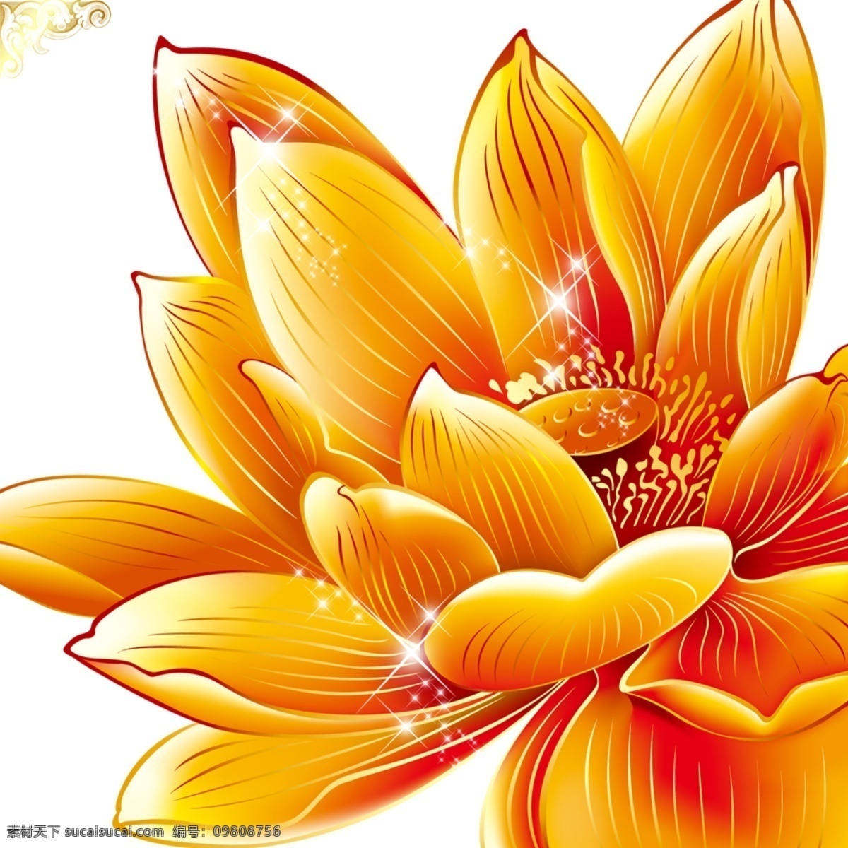 莲花 设计素材 模板 发光 星星 高光荷花 psd源文件