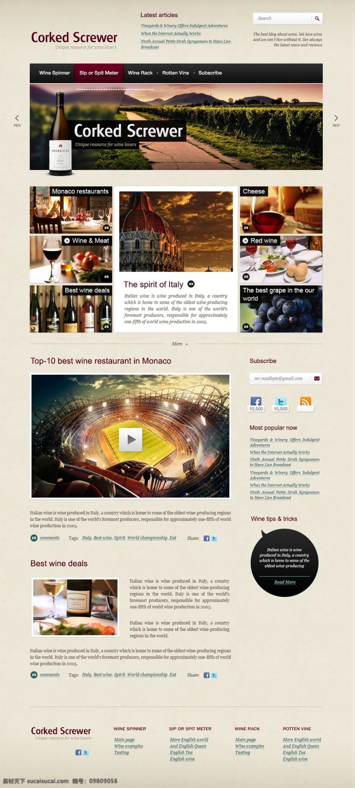 酒类 网站 葡萄酒 网页模板 网页素材