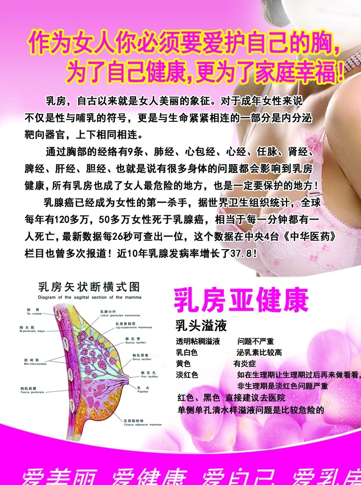 关爱女性 保养乳房 乳房的并发症 乳房的保养 养生海报 丰胸美体 乳腺的保养