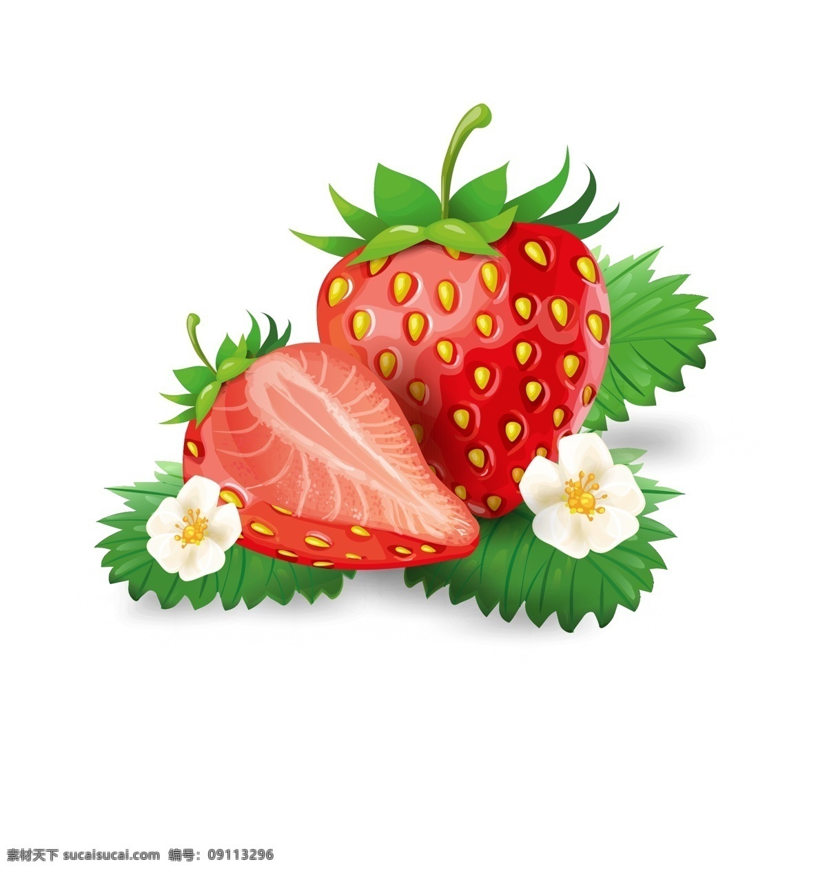 手绘草莓 矢量草莓 卡通草莓 草莓插画 逼真草莓 草莓几何 草莓汁 切开草莓 水果草莓 红色草莓 创意草莓 元素