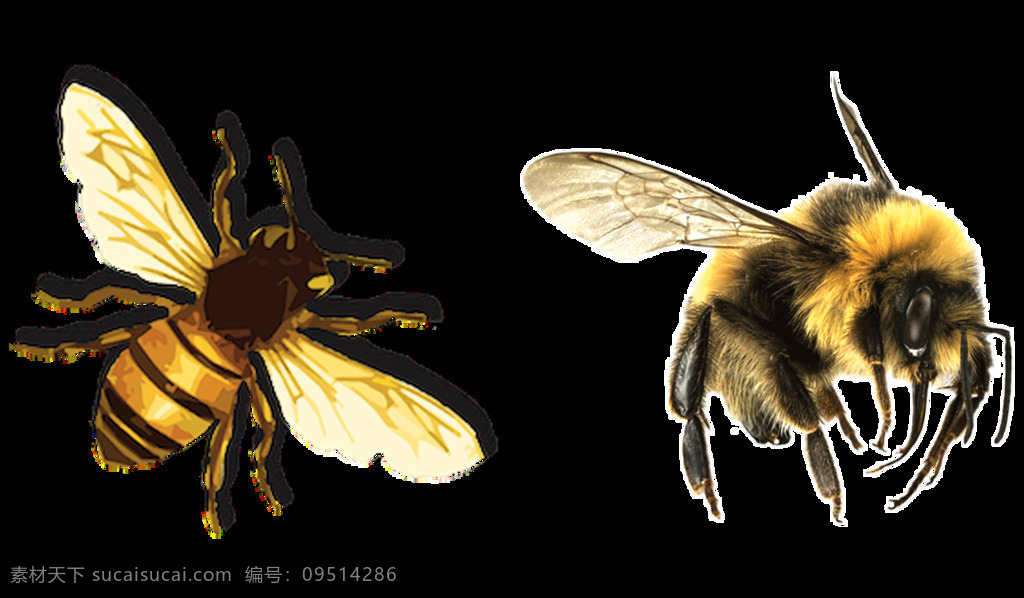 飞翔 蜜蜂 免 抠 透明 图 层 大图 大蜜蜂 金蜜蜂 小 卡通 蜜蜂照片 蜂蜜元素 蜜蜂元素 蜜蜂素材 蜜蜂海报素材 蜜蜂广告图片