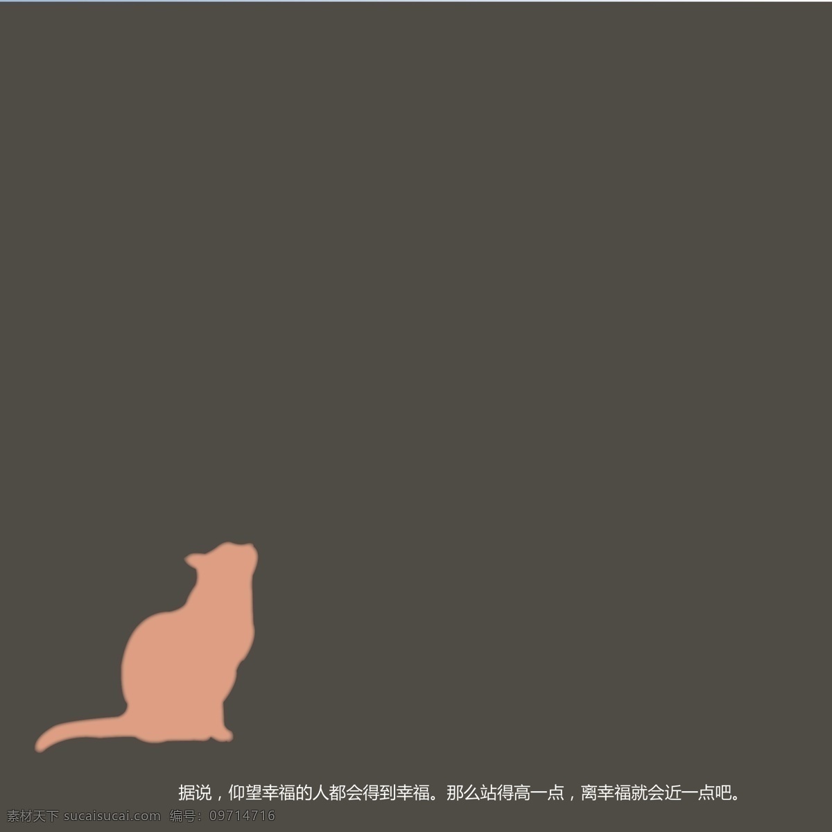 猫 摩天轮 书籍设计 排版 看摩天轮的猫 家禽家畜 生物世界 矢量