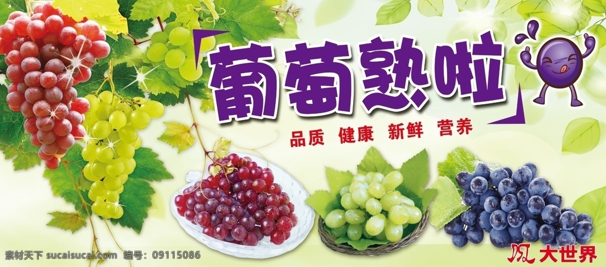 葡萄 水果 超市 健康 卫生 吊牌 新鲜 超市活动方案