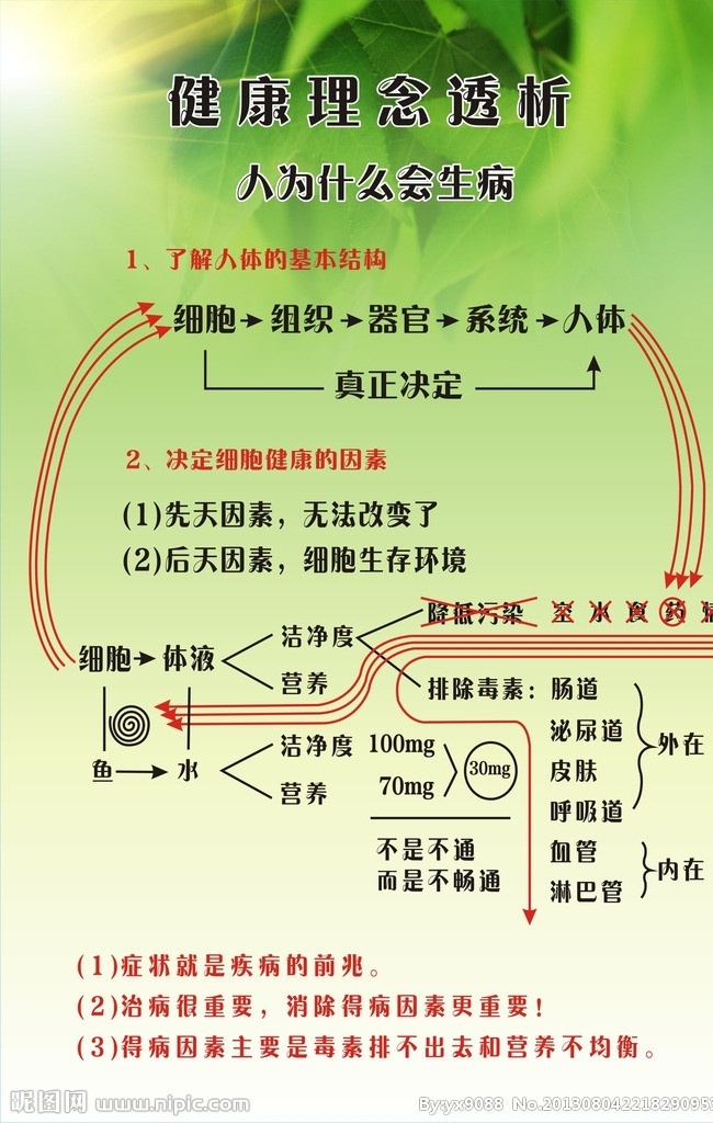 完美 健康 理念 透析 玛丽艳 完美芦荟胶 健康理念 完美cdr 矢量