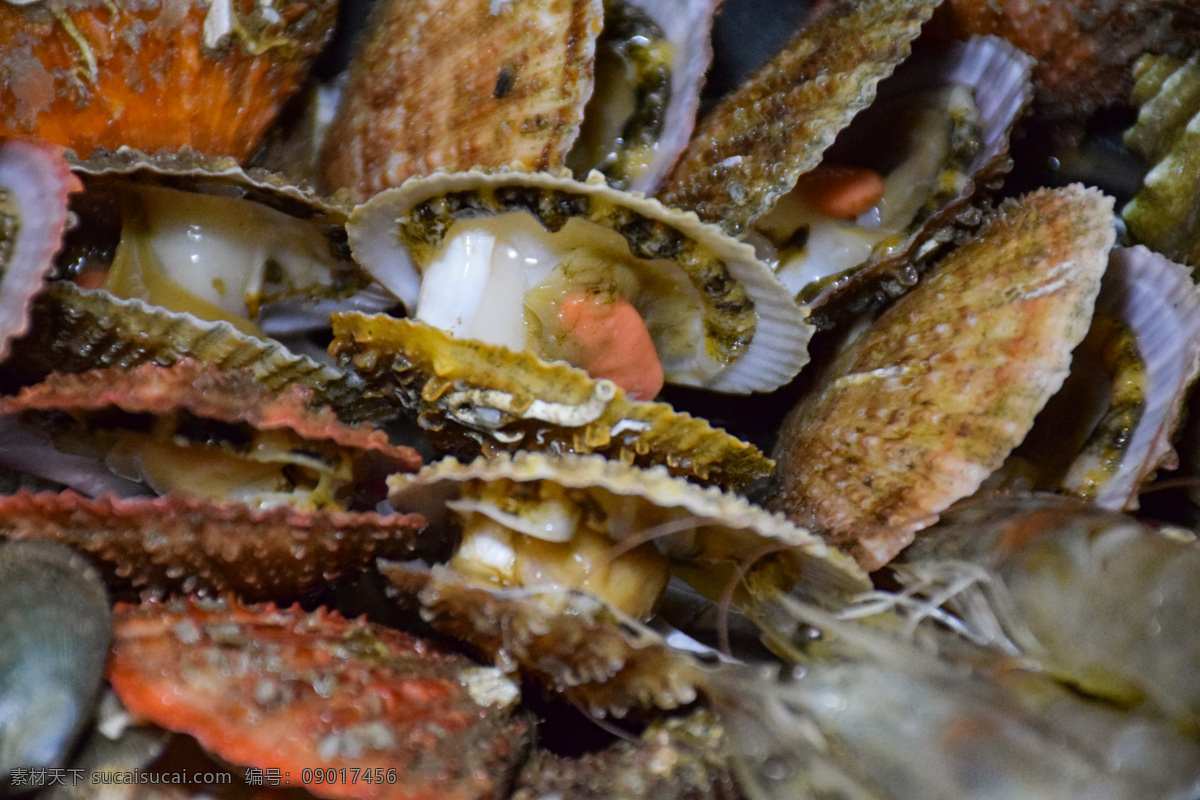 扇贝特写 海鲜 生猛海鲜 海鲜店 家常海鲜 一锅鲜 美味 佳肴 青岛海鲜 青虾 大虾 虾 蛤蜊 生蚝 牡蛎 扇贝 红岛扇贝 海螺 蒸海鲜 食物 餐饮美食 传统美食