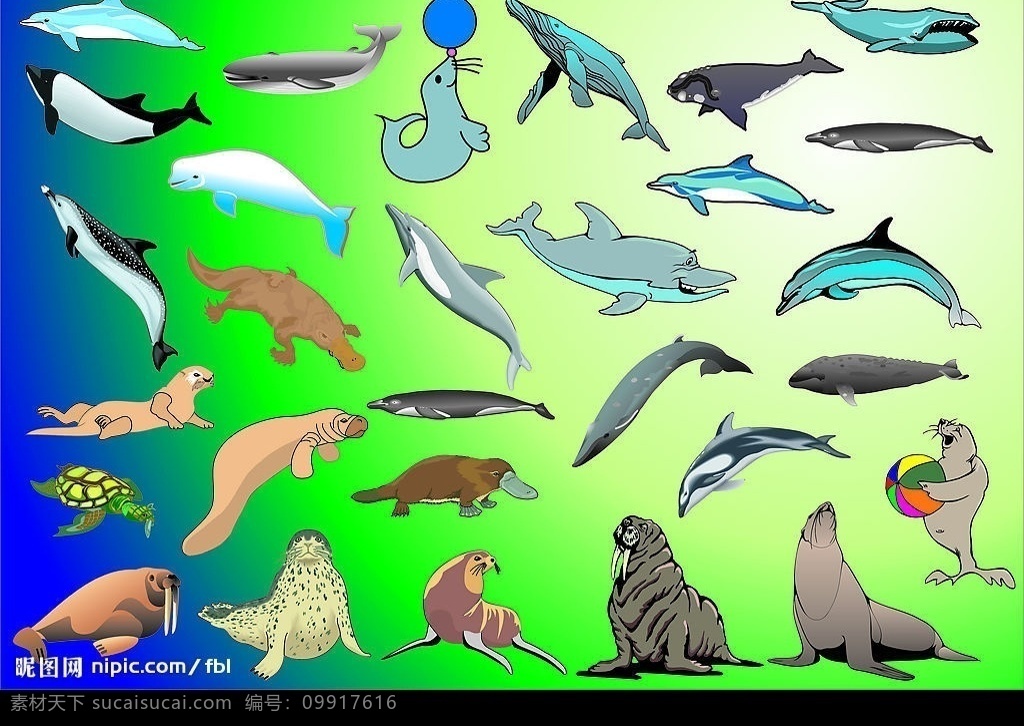海洋动物 海豹 海狗 海狮 海豚 海龟 生物世界 海洋生物 矢量图库