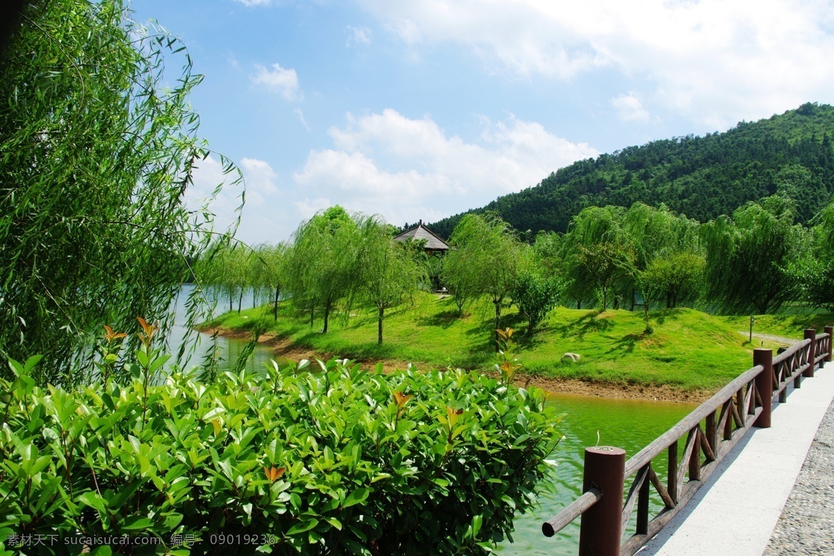 山庄 柳 树 桥廊 水 亭 山 蓝天 云 土地 景区竹 自然风景 自然景观