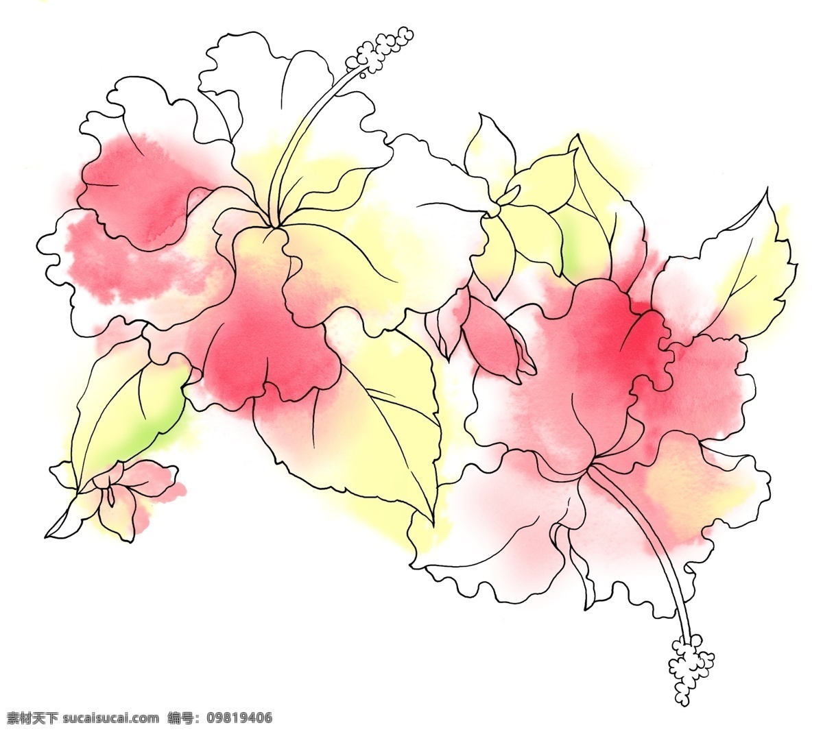 彩绘花草 韩式花纹 psd0658 设计素材 花草主题 装饰图案 psd源文件 白色