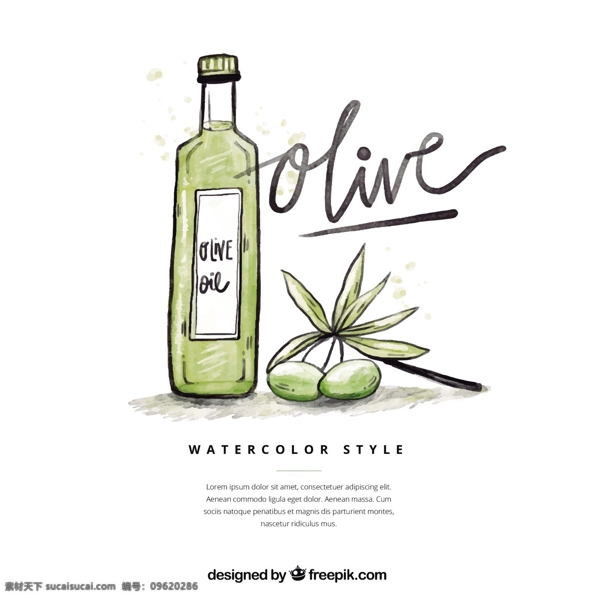 手绘橄榄油 手绘 矢量 清新 健康 橄榄 油 线稿 水彩 绿色 生活 olive 橄榄油