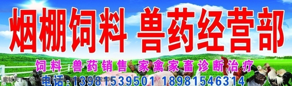 兽药经营部 饲料 兽药 家禽 鸡 鸭 羊 猪 畜牧 招贴设计 农村 专业 合作社