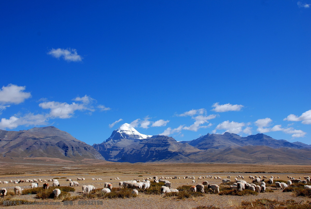 西藏风景 西藏 雪山 草原 戈壁 山水 牛羊 风景 自然风景 旅游摄影