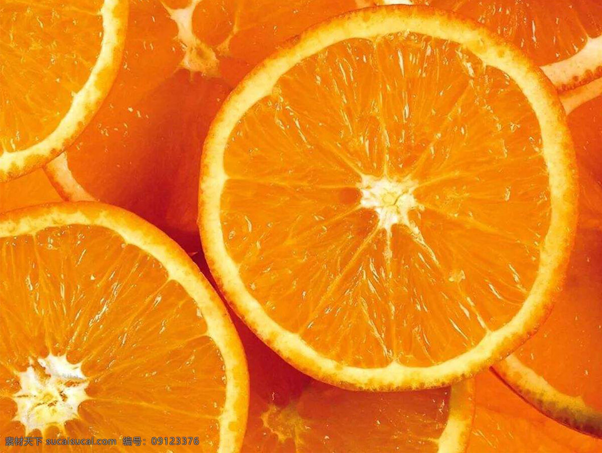 橙子图片 橙子 水果 植物 果实 生物世界