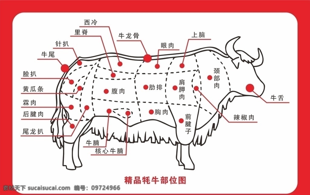 牛部位图图片 牦牛部位图 牛分割图 牛结构图 牦牛简笔画 牦牛说明 生物世界 家禽家畜