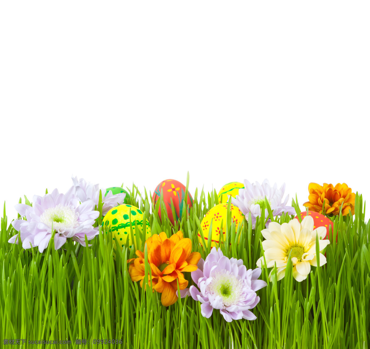 草地 鲜花 彩蛋 复活节彩蛋 花朵 复活节背景 复活节素材 花草树木 生物世界