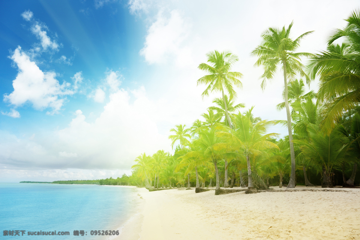 海南风景写真 海南风景 唯美海边 沙滩 椰子树 树木 自然风景 自然景观