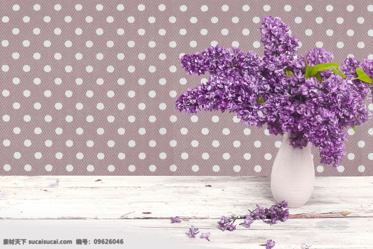 紫丁香花 丁香花 花瓶 美丽鲜花 美丽花卉 美丽花朵 自然风景 自然景观 白色