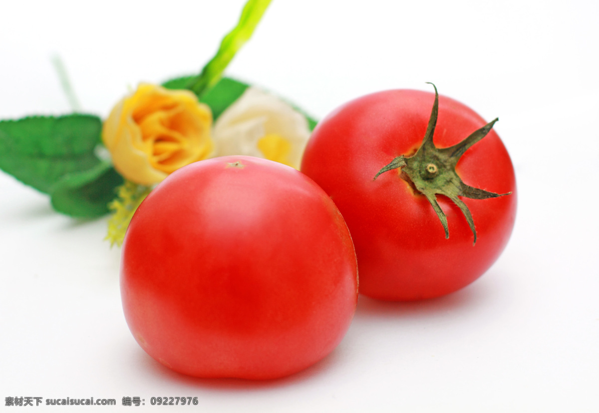 西红柿 番茄 生物世界 食品 蔬菜 水果 新鲜 风景 生活 旅游餐饮