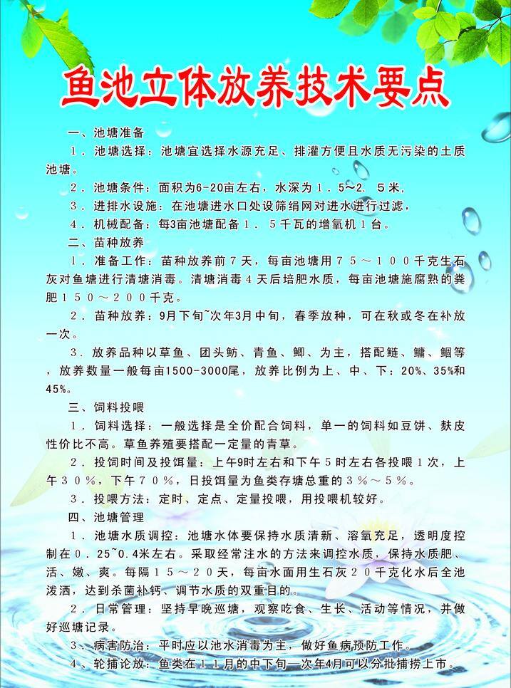 波浪 波纹 树叶 水滴 技术 要点 矢量 模板下载 技术要点 鱼池 立体放养 苗种放养 饲料喂养 池糖管理